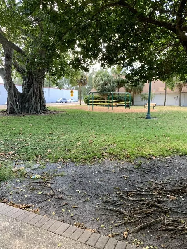 Flamingo Park