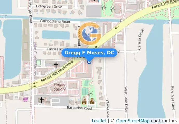 Gregg F Moses, DC