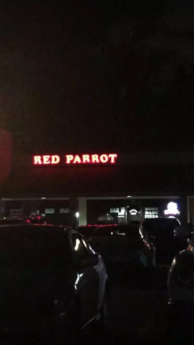 Red Parrot