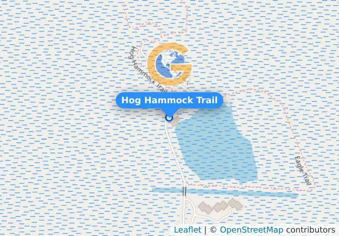 Hog Hammock Trail