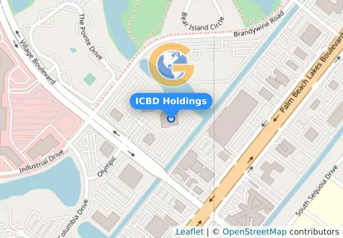 ICBD Holdings