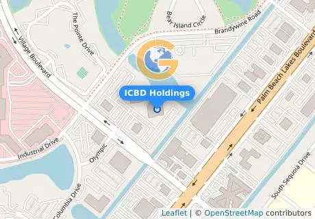 ICBD Holdings