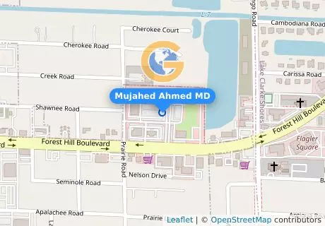 Mujahed Ahmed MD